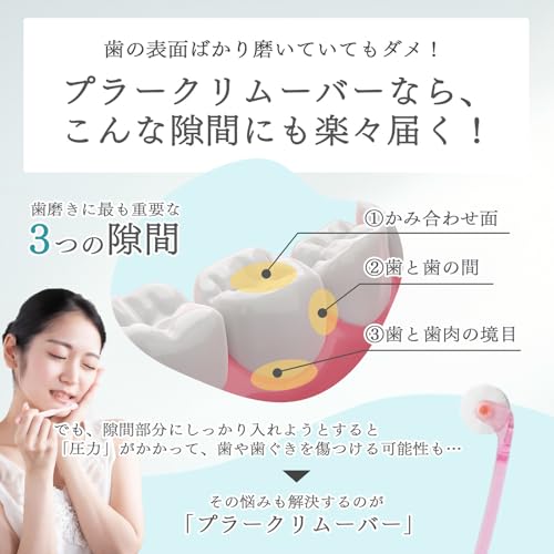プラークリムーバークルン 5