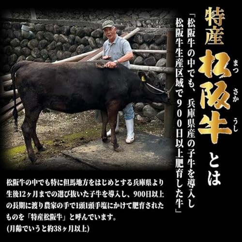 特産松阪牛 ステーキ シャトーブリアン 3