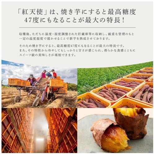 紅天使 3