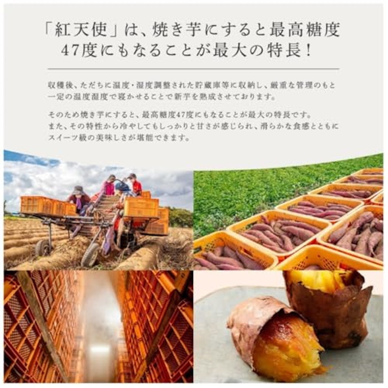 紅天使 3