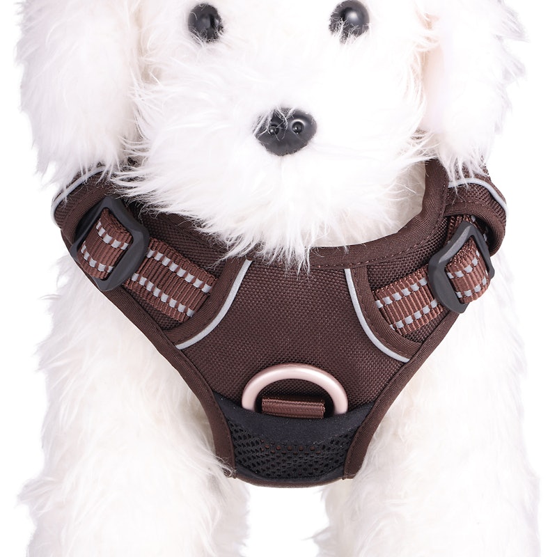 犬用ハーネス 3