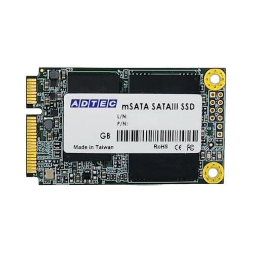 SSD mSATA 1
