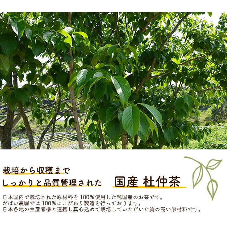 国産手作り 杜仲茶 2
