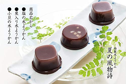 塩・栗・小豆3種の水羊羹 2