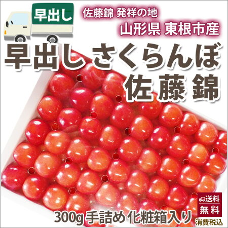 早出しさくらんぼ 1