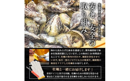 真ガキ 大入島オイスター 3