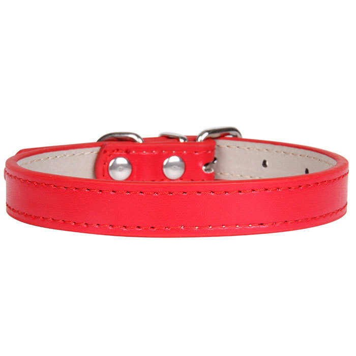 子犬用首輪のおすすめ人気ランキング【2026年3月】 | マイベスト