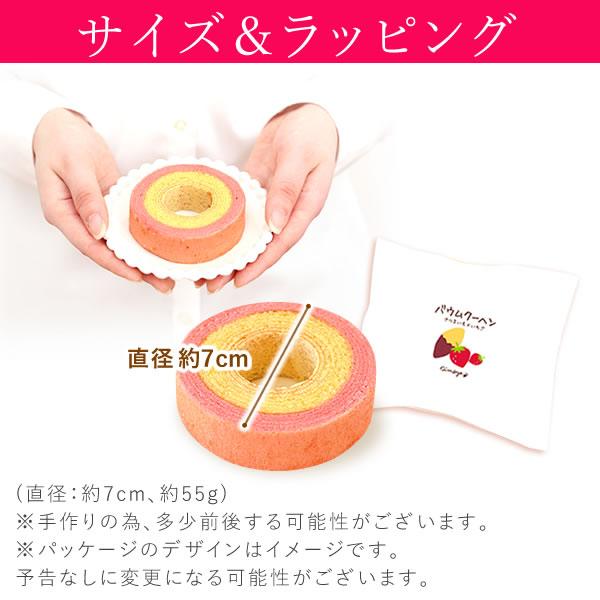 マイクロ胡蝶蘭とバウムクーヘン 5