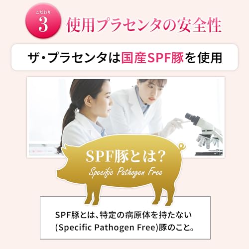  ザ・プラセンタ 5