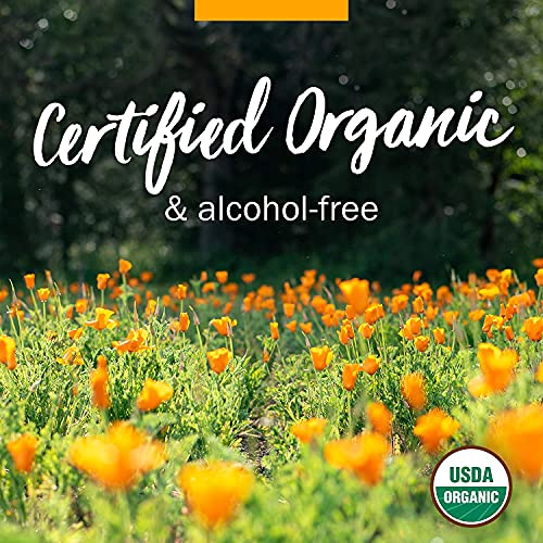 ST. JOHN'S WORT OIL 6