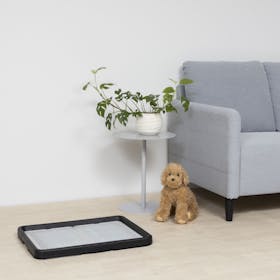 ペティオ わんトレー A24861を検証レビュー!犬用トイレトレーの選び方も紹介 5