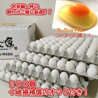 白卵 3