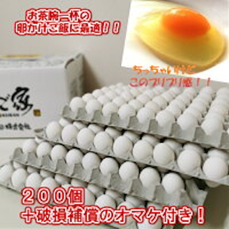 白卵 3