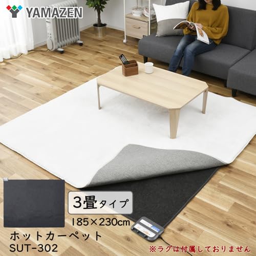 空気をキレイにする小さくたためるホットカーペット 2