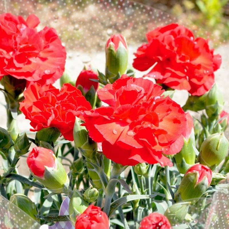 H X Ovbpcwpa8m H X Ovbpcwpa8m