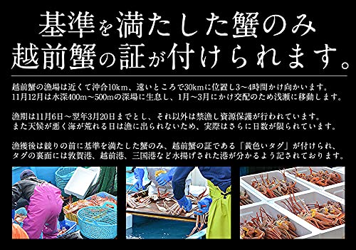 越前産 ズワイガニ 甲羅盛り 4