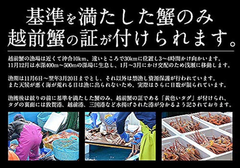 越前産 ズワイガニ 甲羅盛り 4