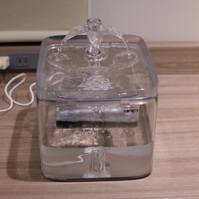 Npet ペット自動給水器 猫 中小犬用を他商品と比較 口コミや評判を実際に使ってレビューしました Mybest Npet ペット自動給水器 猫 中小犬用を他商品と比較 口コミや評判を実際に使ってレビューしました Mybest