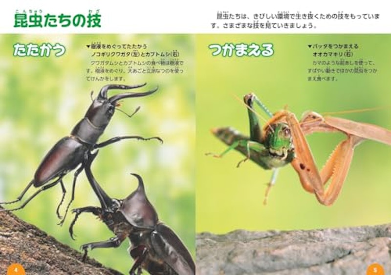 昆虫のクイズ図鑑 3