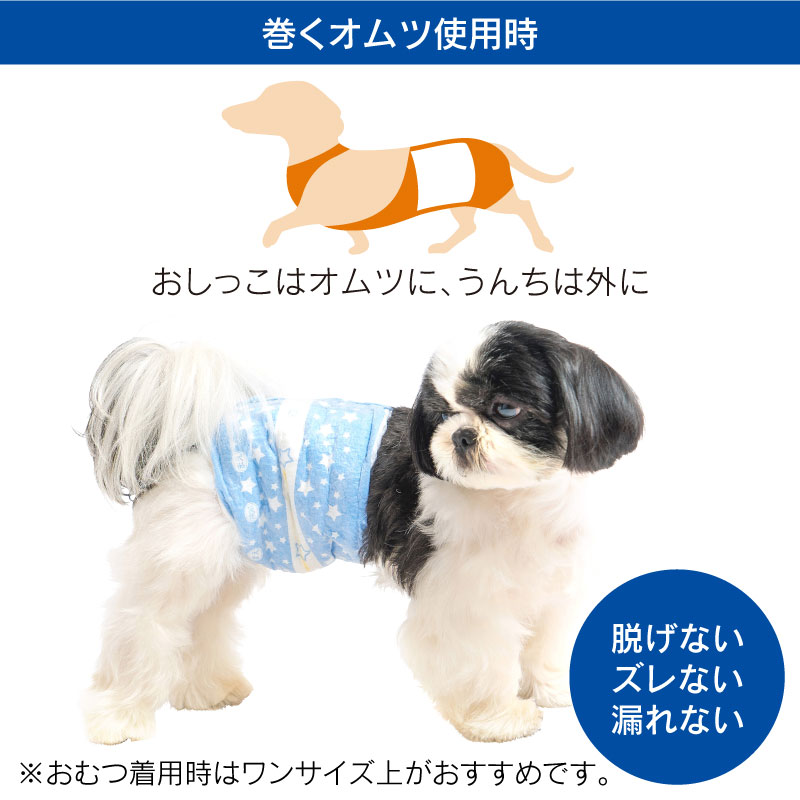 マナーパンツ 6