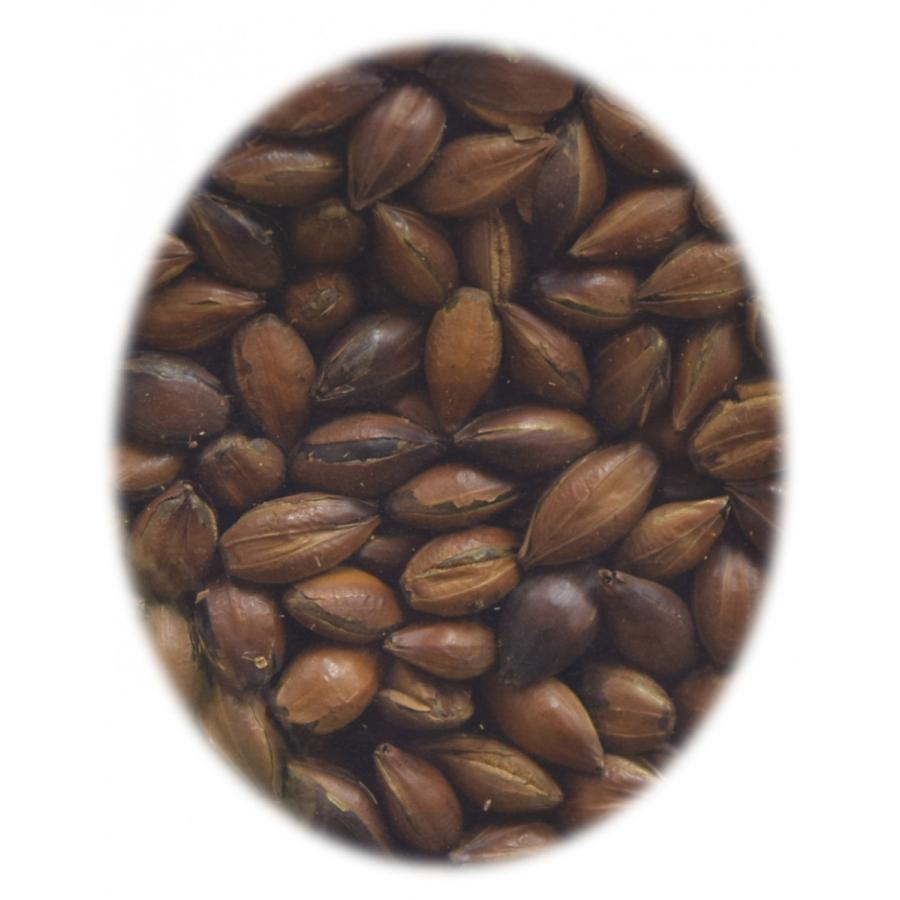 国産 大麦 むぎ茶 2