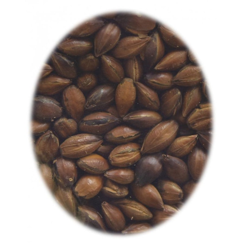 国産 大麦 むぎ茶 2