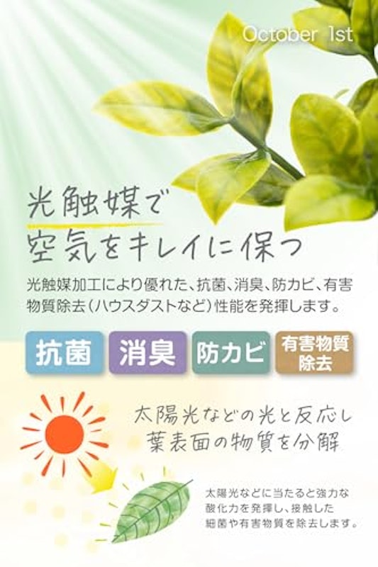 フェイクグリーン 卓上用 2
