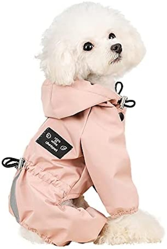 22年 犬用レインコートのおすすめ人気ランキング16選 Mybest 22年 犬用レインコートのおすすめ人気ランキング16選 Mybest