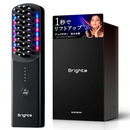 エレキブラシプラス 1