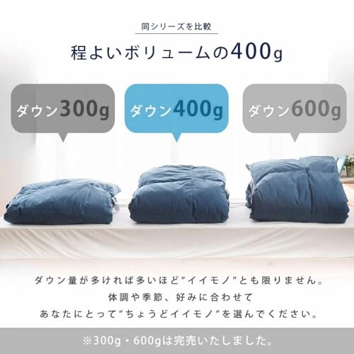 羽毛布団マインリッチシングル掛け布団