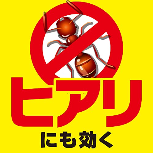 アリキンチョール 7