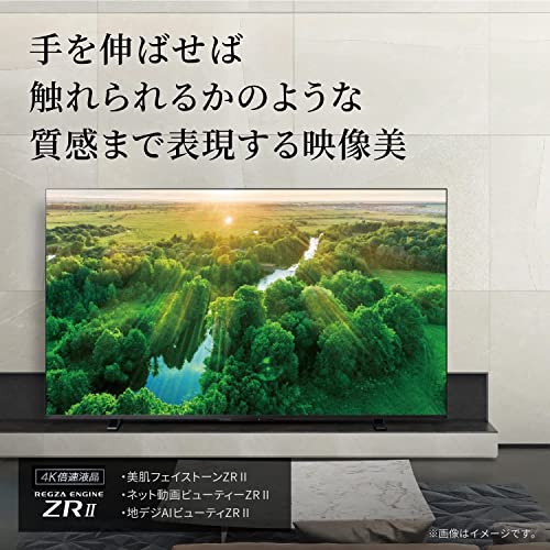 東芝 REGZAの55インチテレビのおすすめ人気ランキング【2025年