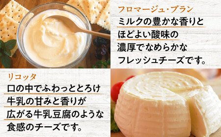 チーズ 詰め合わせ 2