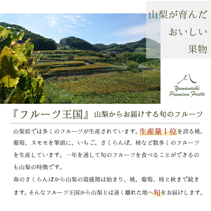 フルーツカタログ 3