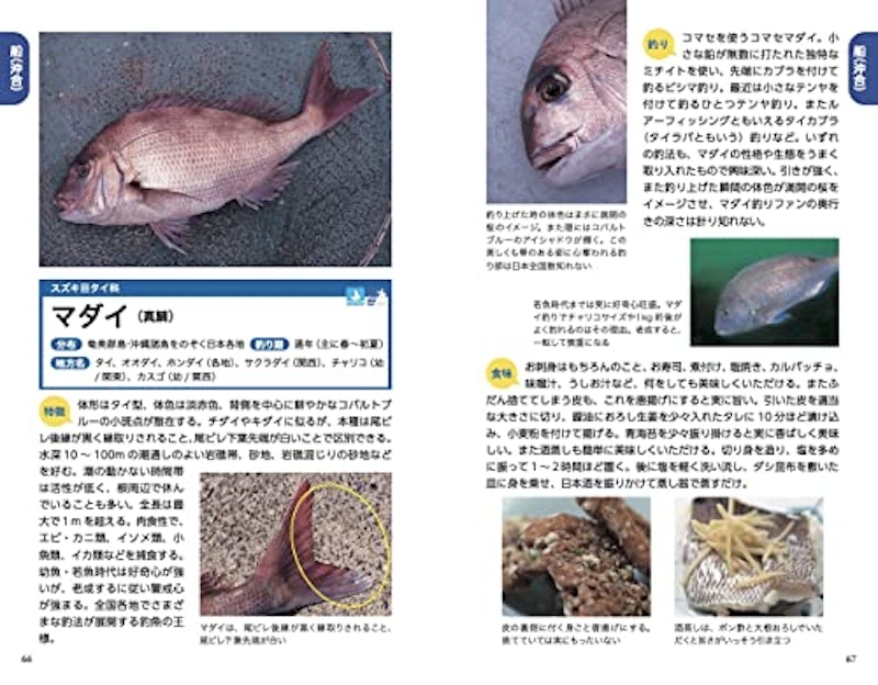 増補改訂版 釣魚図鑑 5