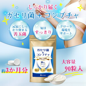 ガセリ菌＆コンブチャ 2