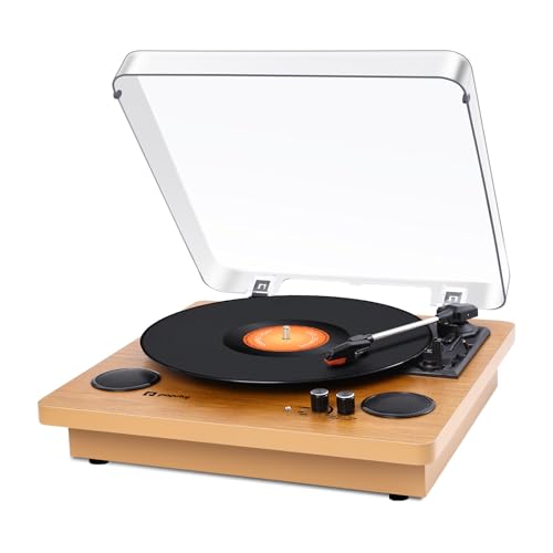 LIEBEINSスピーカー内蔵レコードプレーヤー record_player2.jpg