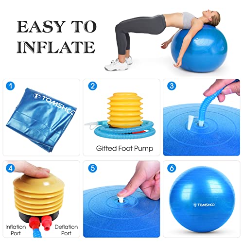 BOSU バランストレーナー 青 65cm BOSU(ボス) バランストレーナー ホーム オリジナル ブルー | BOSU