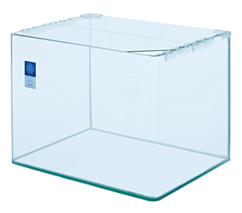 オールガラス、曲げガラス水槽90㎝ ライトセット - 水槽