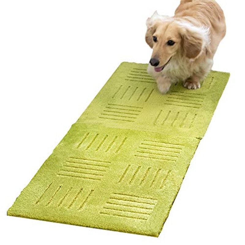 PET 1