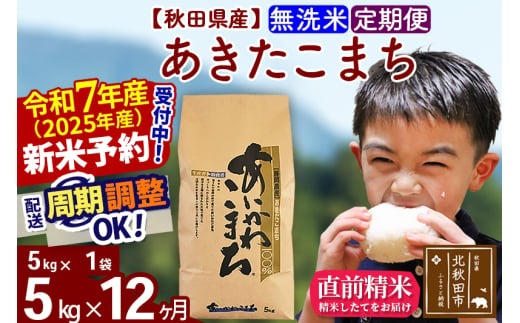 定期便12ヶ月 秋田県産あきたこまち5kg 無洗米 1