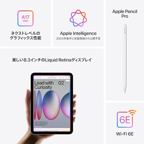 Wi‑Fiモデル 256GB 4