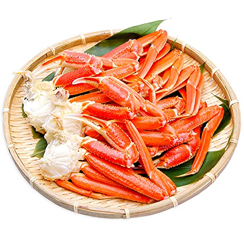 ズワイガニ 足 1