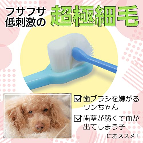 歯ブラシ 3