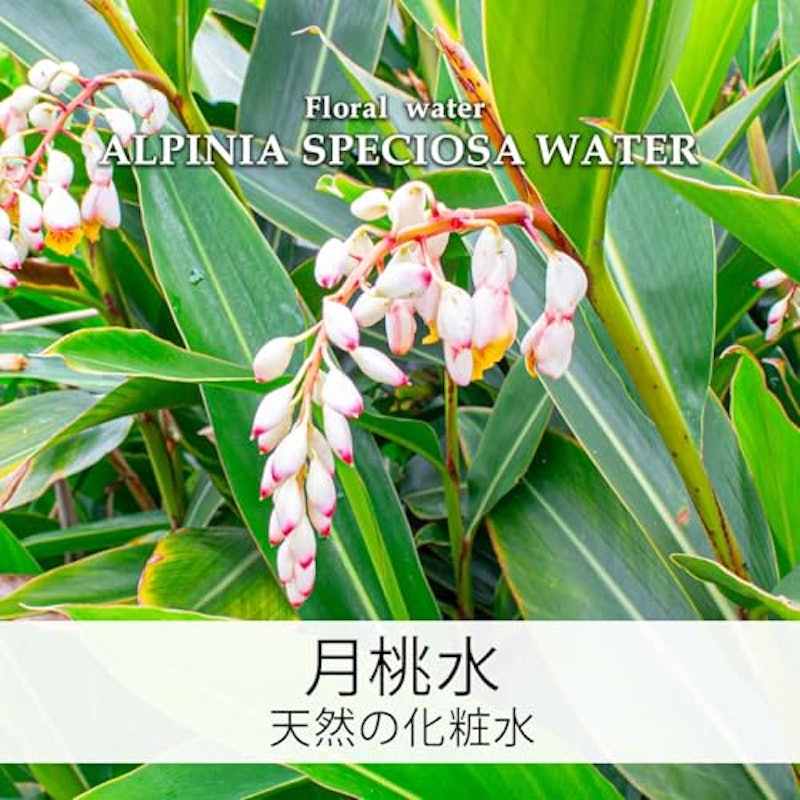 月桃水 MOON PEACH 3