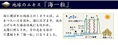 土佐黒潮天日塩 海一粒 3