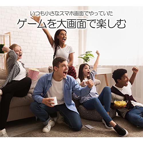 ミラーリングケーブル 5
