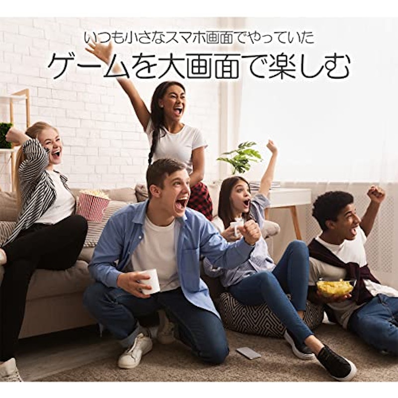 ミラーリングケーブル 5