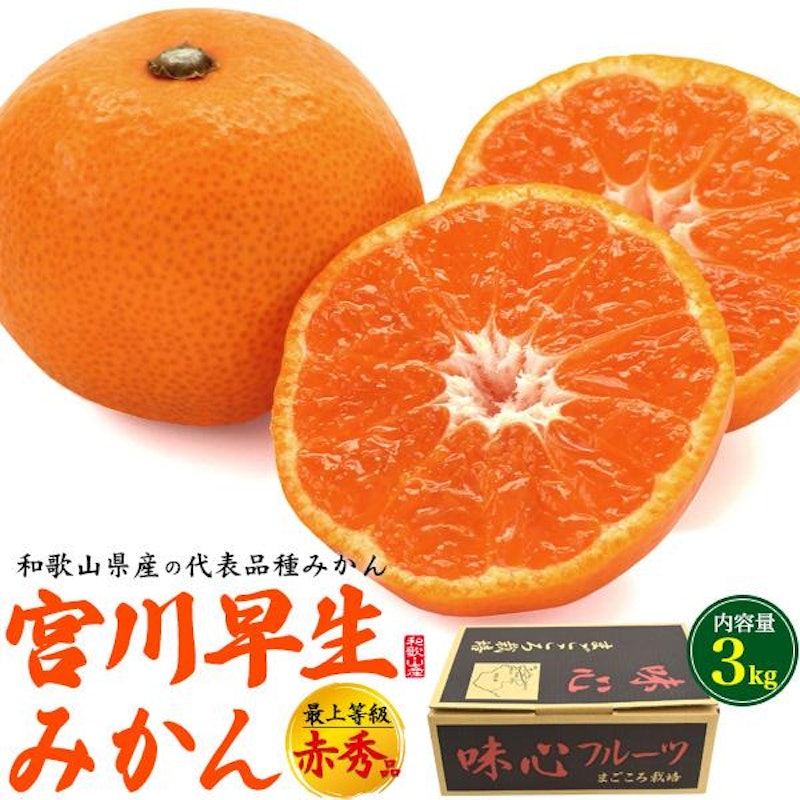 宮川早生みかん 1
