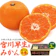 味心出荷組合 宮川早生みかん 1